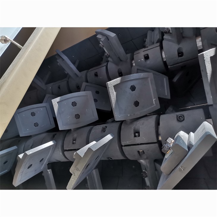 continuous paddle mixer (3)